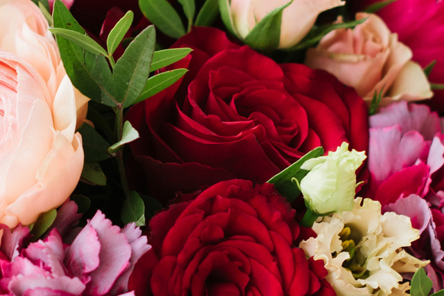 Florist of Stafford